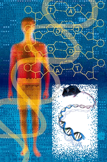 In Silico Identification and Comparative Analysis of Differentially Expressed Genes in Human and Mouse Tissues